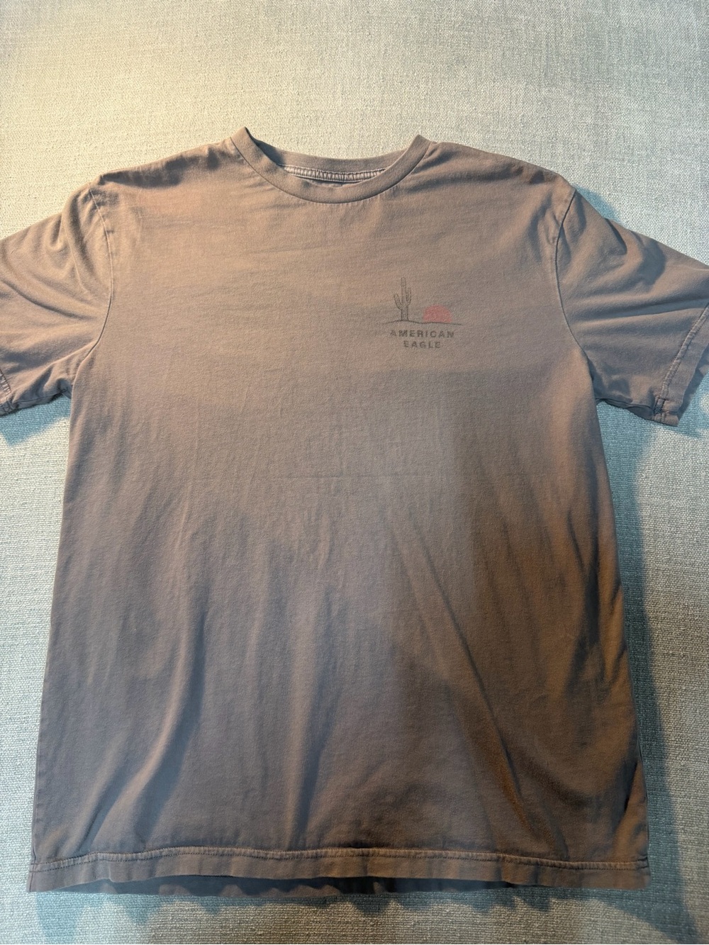 American Eagle Outfitters Men's Brown Graphic Crew Tee with Small Desert Logo